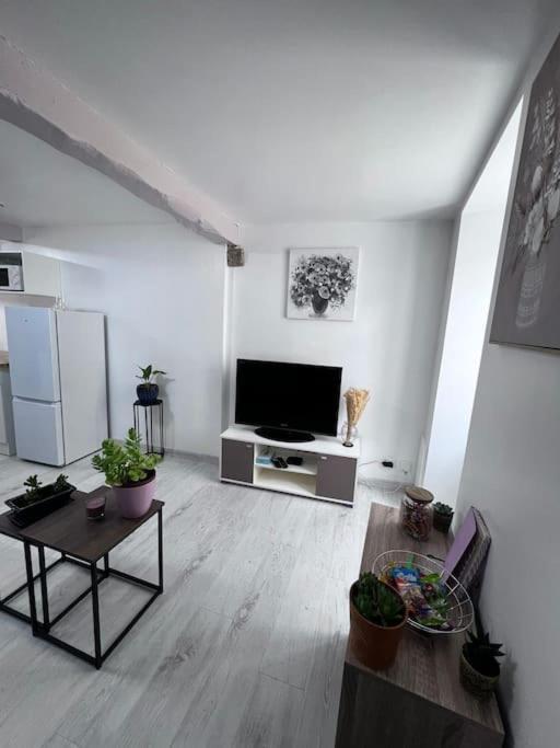 Charmante Maison Renovee Nérac Esterno foto